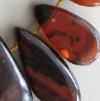 Baltic amber