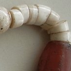 Naga shell beads
