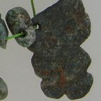 mixed stone pendants - preColumbian