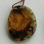 Chiapas amber