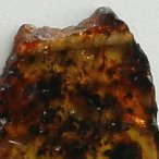 Chiapas amber